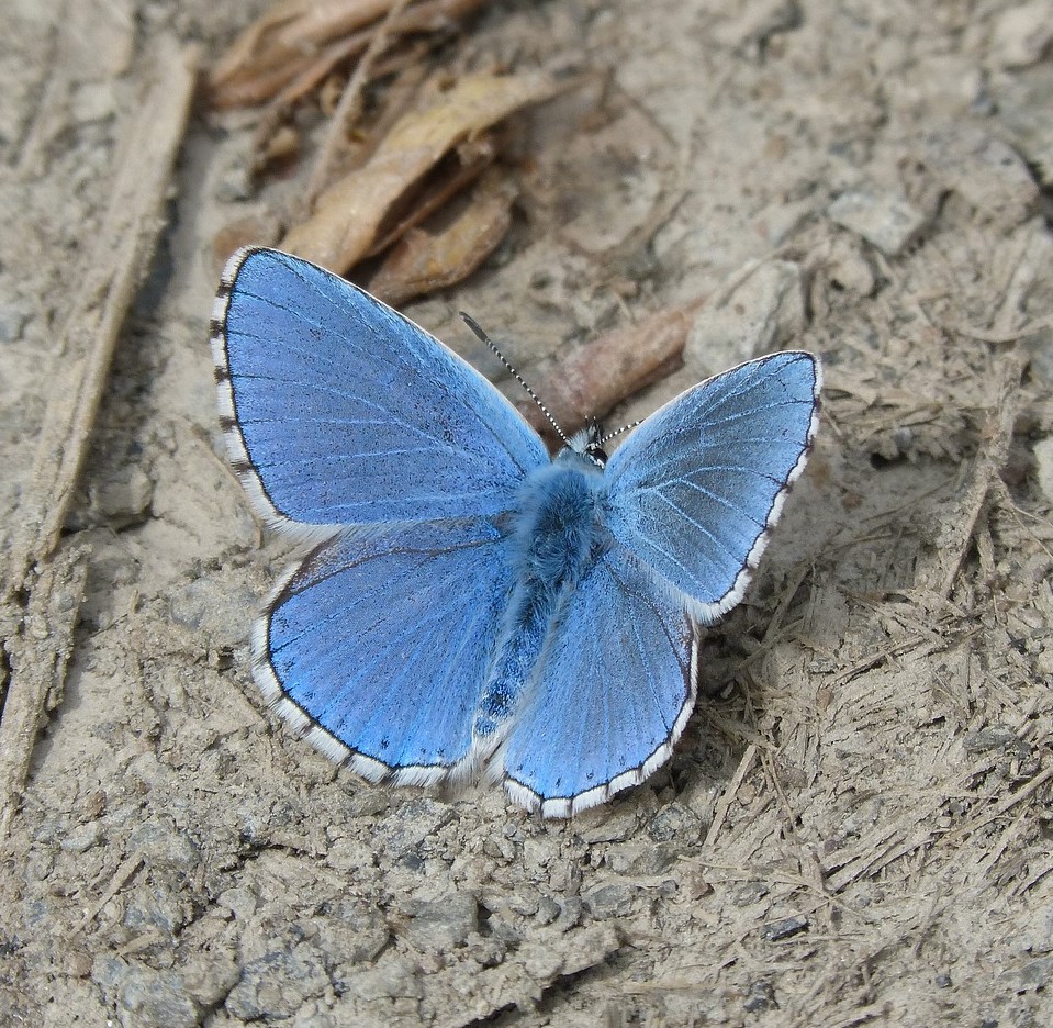 Rouwverwerking in de breedste zin van het woord heeft mijn speciale aandacht. De dood is een andere manier van leven