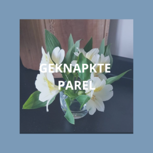 Kracht en doorzetting