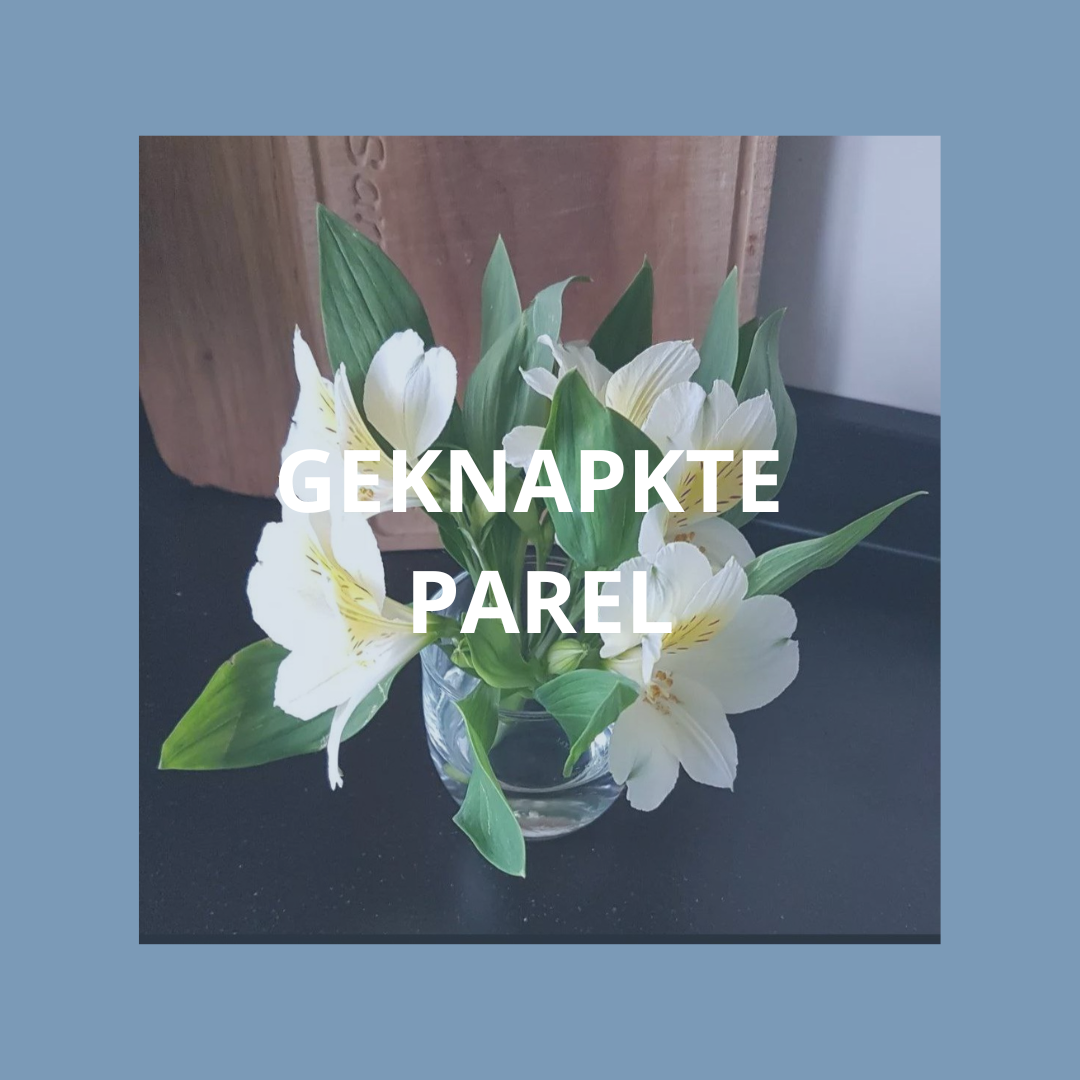 Kracht en doorzetting