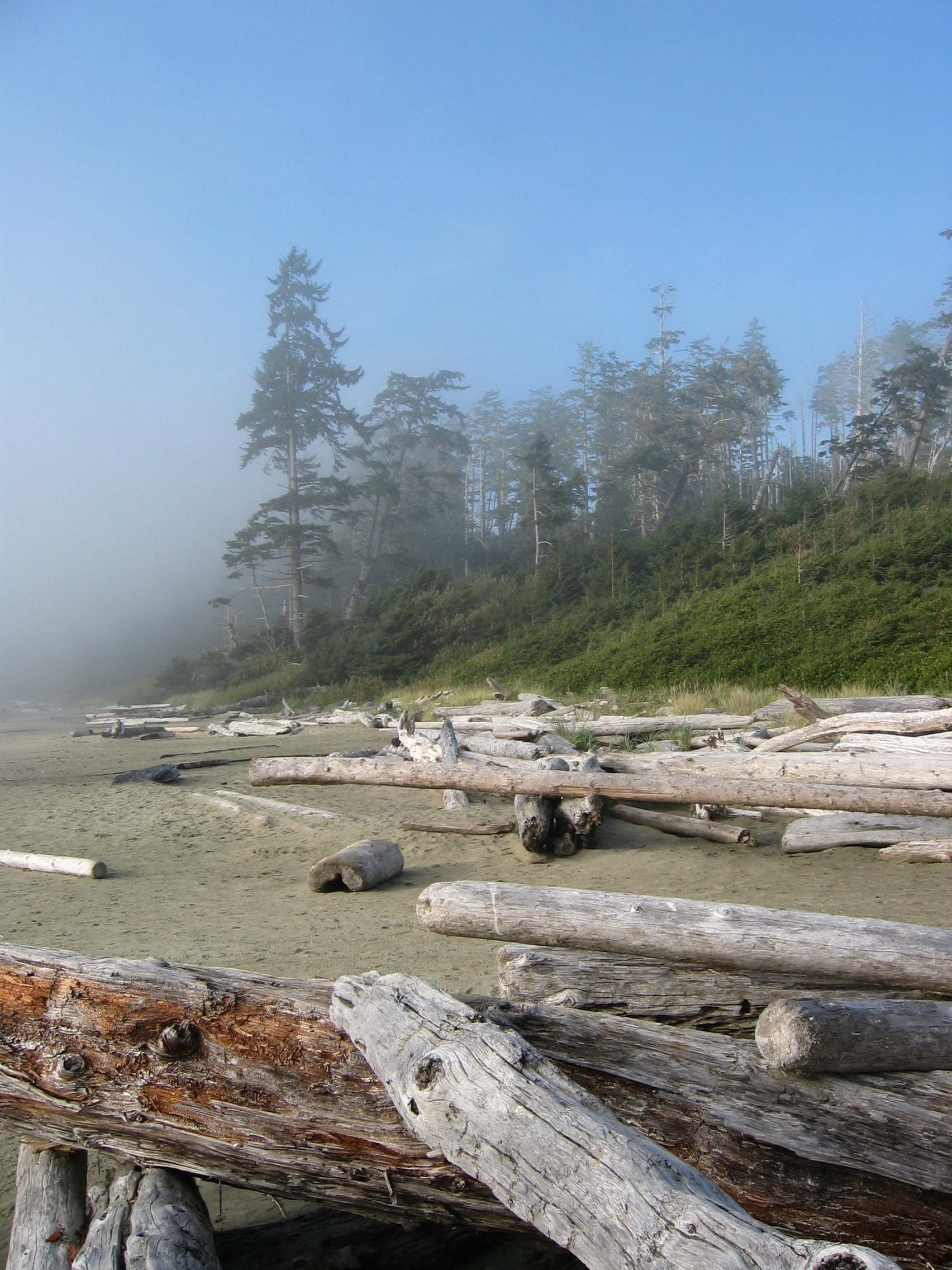 Mistige omgeving op het strand met blauwe lucht